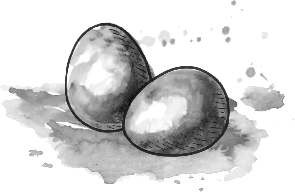 illustration-stora-agg