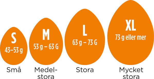 Äggstorlekar Fyra orange äggillustrationer märkta S, M, L och XL, med svensk och gramangivelse: S (43-53g) liten, M (53-63g) medium, L (63-73g) stor, XL (73g eller mer) extra stor.