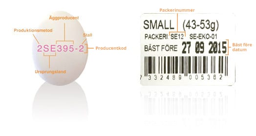 Förpackning Ett märkt ägg och en etikett. På ägget finns koder för produktionsmetod, ursprung, gård och producent, på etiketten finns storlek, förpackningsinformation, kod och bäst före-datum. Etiketterna är på svenska.