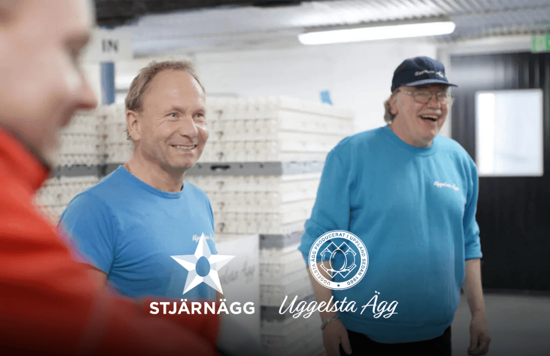 Två män i blå skjortor ler och skrattar i vad som ser ut att vara ett ägglager, som visar upp det glada Stjärnägg och Uggelsta Ägg samarbetet, med staplar av äggkartonger bakom dem och båda företagens logotyper överlagrade i botten.