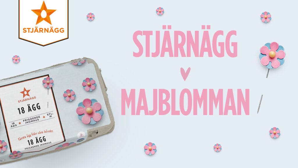 En kartong med Stjärnäggsägg dekorerade med rosa och blå blomnålar står bredvid den stora svenska texten STJÄRNÄGG ♥ MAJBLOMMAN på en ljusblå bakgrund.