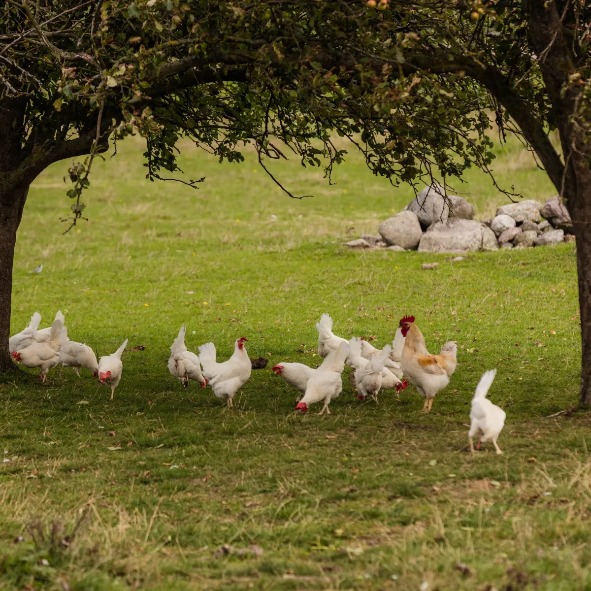 160908-103651-0708[1]