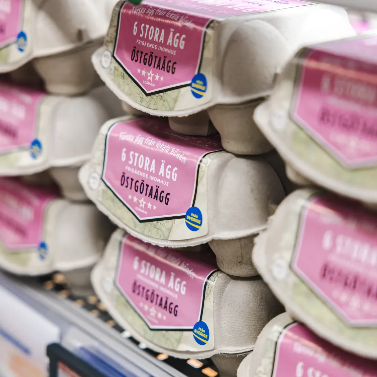 Stjärnägg Staplar av sexäggskartonger med rosa etiketter på en hylla i en livsmedelsbutik. Etiketterna har svensk text och blågula markeringar, vilket indikerar att äggen kommer från Sverige.