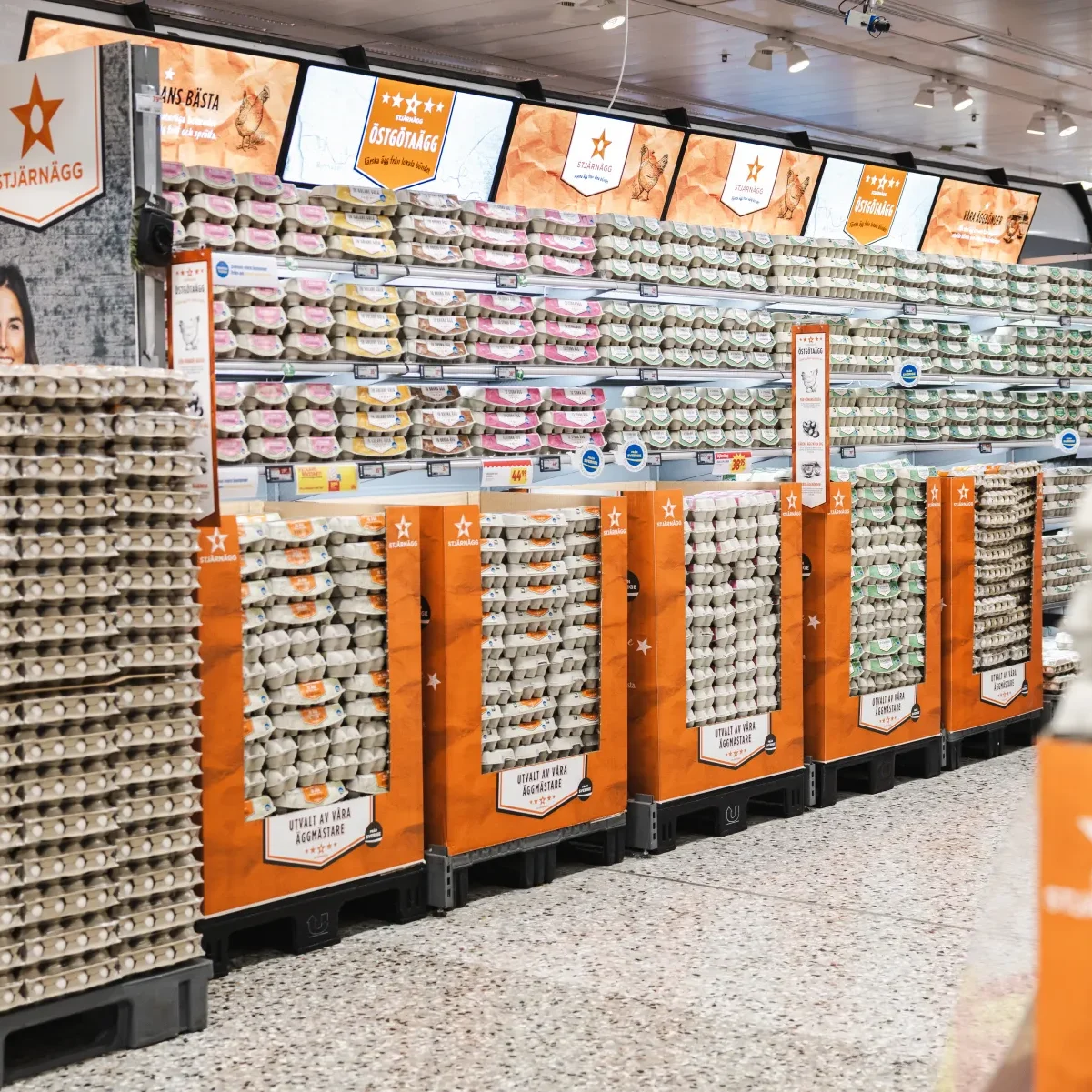 I en stormarknadsgång står staplar av äggkartonger på hyllor och i orangea fack. Ovanför hänger skyltar med stjärnor och förpackningarna är prydligt ordnade över hela avdelningen. Golvet är fläckigt och en del av en annan hylla syns till höger.